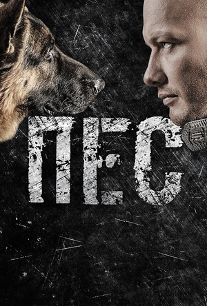 Серіал «Пес» (2015 – ...)