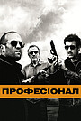 Професіонал