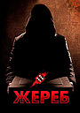 Жереб
