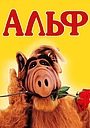 Альф